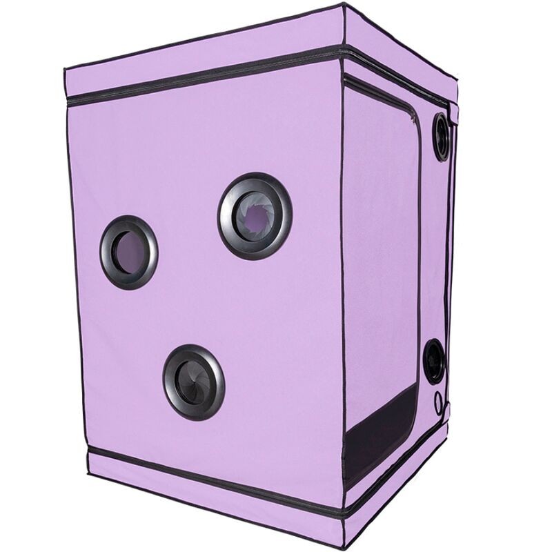 SECRET DOME - KINK CLUB CABIN SCANDALE VIOLA SECRET DOME - KINK CLUB CABIN SCANDALE VIOLA