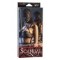 CALEXOTICS - SCANDAL CAGOULE EN DENTELLE NOIRE AVEC NŒUD CALEXOTICS - SCANDAL CAGOULE EN DENTELLE NOIRE AVEC NŒUD
