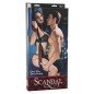 CALEXOTICS - SCANDAL CABLAGGIO UNIVERSALE PER PORTA