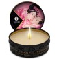 SHUNGA - MINI CARESS BY CANDLELIGHT DISPLAY MASSAGE CANDLES 24 UNITS SHUNGA - MINI CARESS BY CANDLELIGHT DISPLAY MASSAGE CANDLES 24 UNITS