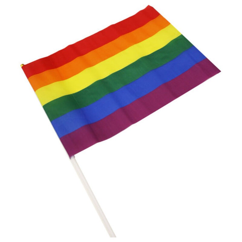PRIDE - LGBT-FLAGGE MITTELGROSSES WIMPEL PRIDE - LGBT-FLAGGE MITTELGROSSES WIMPEL