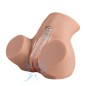 XISE - DANAE STOSSENDER REALISTISCHER VAGINA-MASTUBADOR MIT VIBRATION IN MEHREREN POSITIONEN XISE - DANAE STOSSENDER REALISTISCHER VAGINA-MASTUBADOR MIT VIBRATION IN MEHREREN POSITIONEN