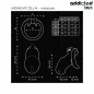 ADDICTED TOYS LOCKED - MINDNIGHT CELL GABBIA PER PENE 4.2 CM TAGLIA M ADDICTED TOYS LOCKED - MINDNIGHT CELL GABBIA PER PENE 4.2 CM TAGLIA M