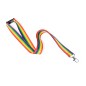 PRIDE - RAINBOW FLAG RIBBON 90 X 5 CM