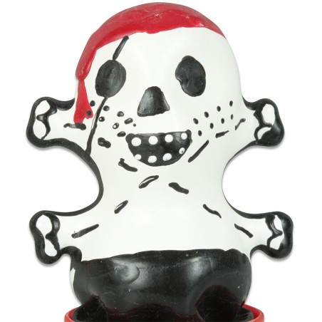 CONDOMERIE - HANDPAINTED NOVELTY CONDOMS PIRATE