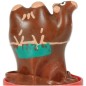 CONDOMERIE - HANDPAINTED NOVELTY CONDOMS CAMEL CONDOMERIE - HANDPAINTED NOVELTY CONDOMS CAMEL