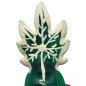 CONDOMERIE - PRÉSERVATIFS FANTAISIE PEINTS À LA MAIN CANNABIS MODÈLE 2 CONDOMERIE - PRÉSERVATIFS FANTAISIE PEINTS À LA MAIN CANNABIS MODÈLE 2