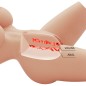 CRAZY BULL - TORSE FÉMININ RÉALISTE MASTURBATEUR 41,9 CM