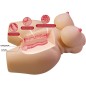 CRAZY BULL - GRACE REALISTIC FEMALE TORSO VAGINA AND ANAL 7.5 KG CRAZY BULL - GRACE REALISTIC FEMALE TORSO VAGINA AND ANAL 7.5 KG